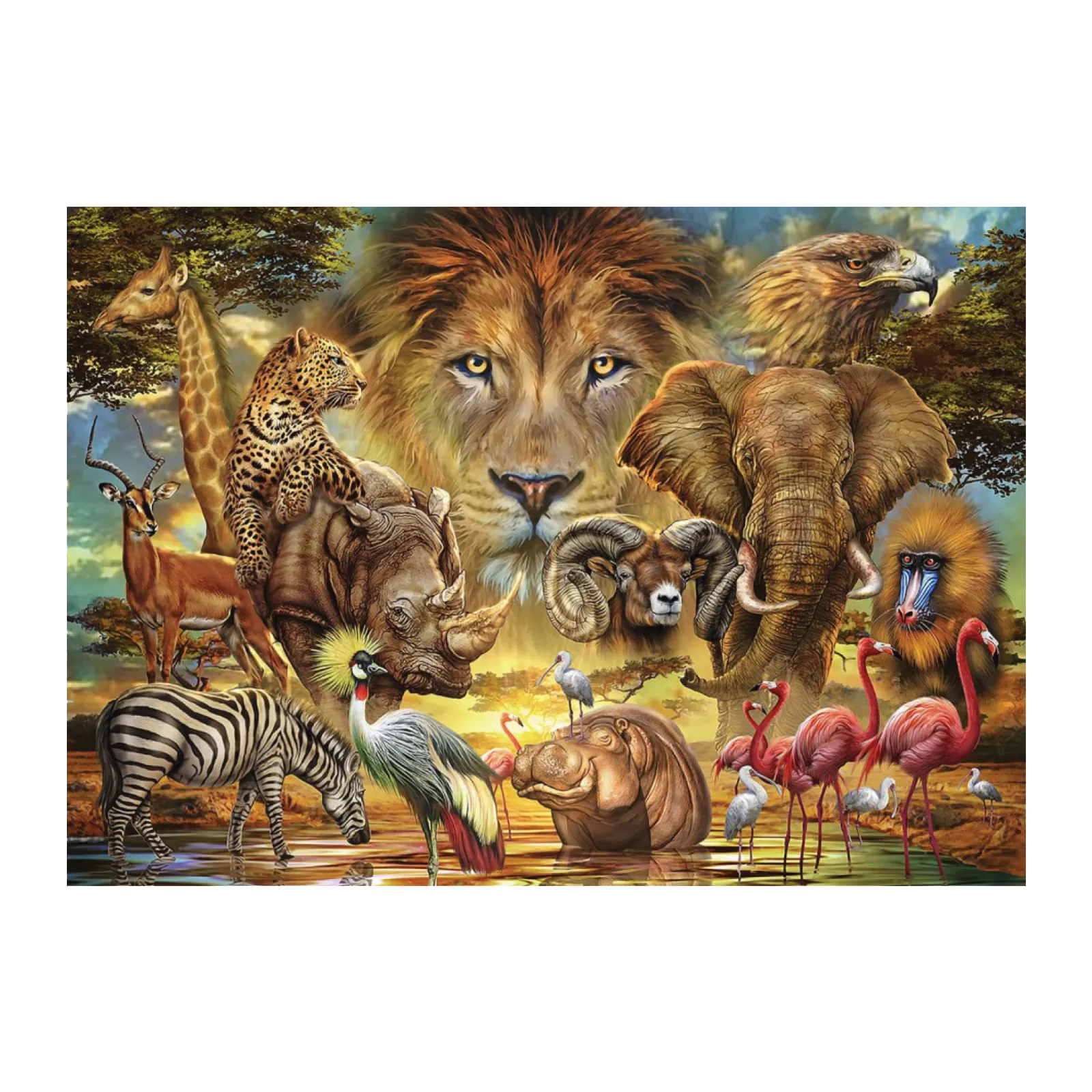 African Wildlife 1000 Piece Puzzle