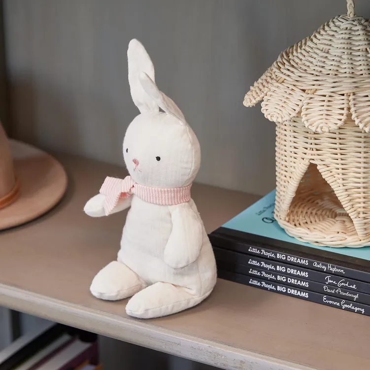 Beatrix the Bunny