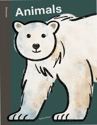 (Discover) Animals - Hardback