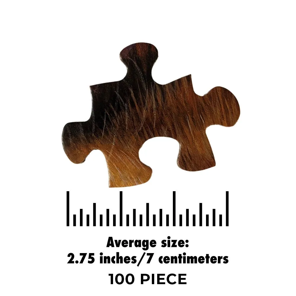 Hot Rod Sunset Jigsaw Puzzle Bits and Pieces