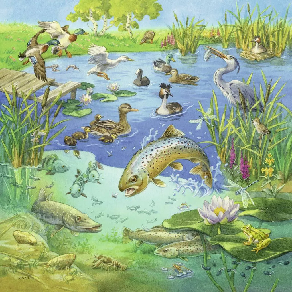 Ravensburger 3x49 Animals In Their Habitats Wise - Kids Toys