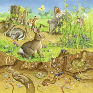 Ravensburger 3x49 Animals In Their Habitats Wise - Kids Toys