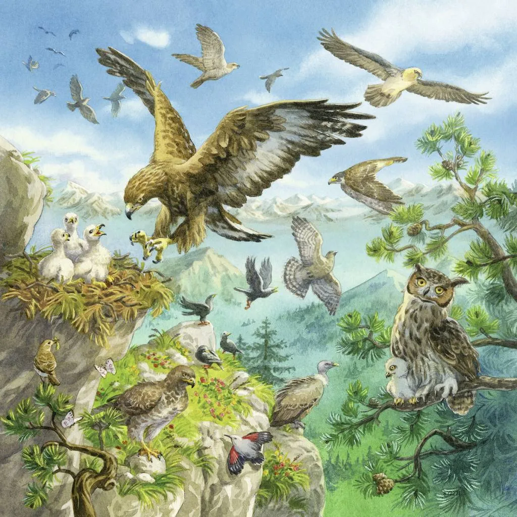Ravensburger 3x49 Animals In Their Habitats Wise - Kids Toys