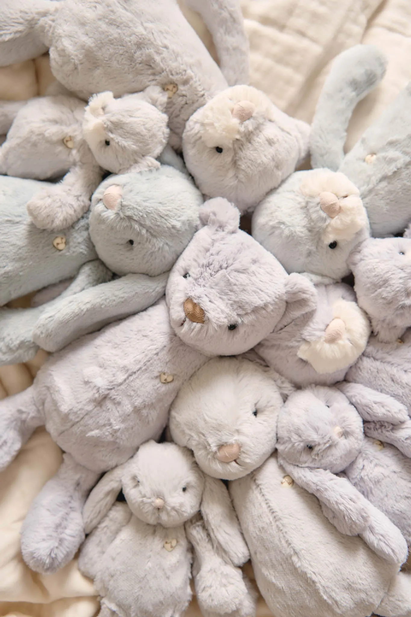 Snuggle Bunnies | George the Bear | Sky